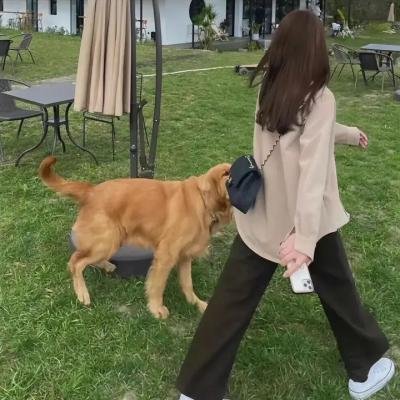 选情告急
